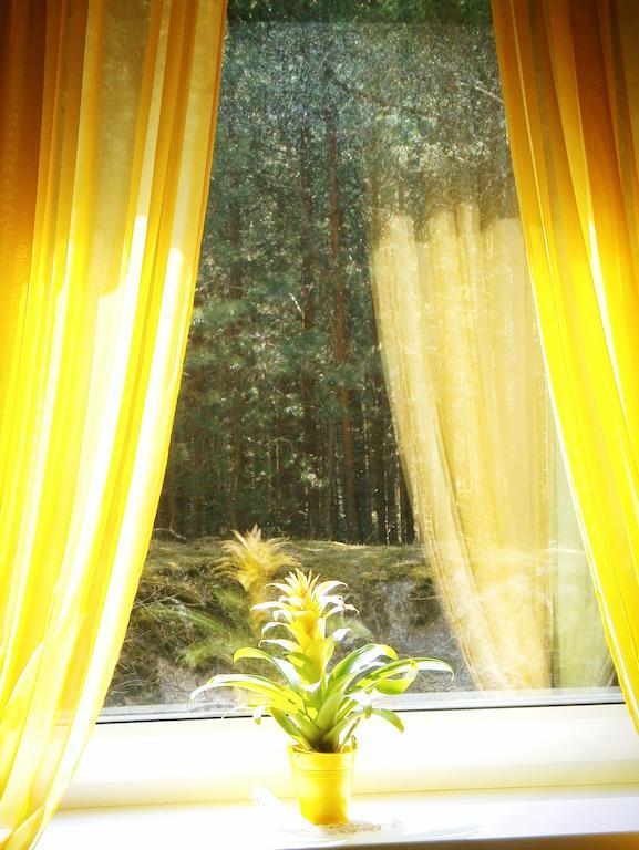 Apartments Isle Of Pinecones ニダ 部屋 写真